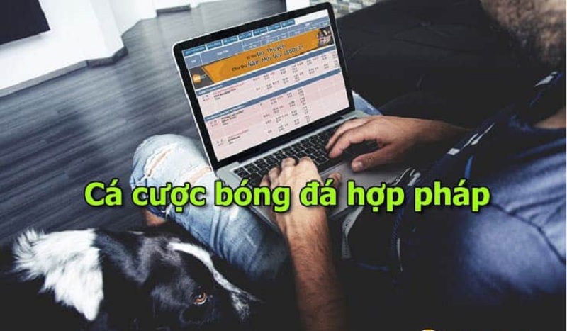 ca-cuoc-bong-da-hop-phap-khong-su-that-quan-trong-ban-can-biet2